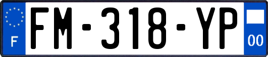 FM-318-YP