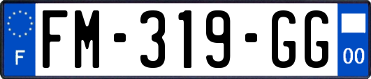 FM-319-GG
