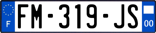 FM-319-JS