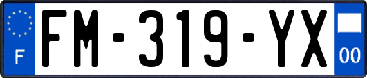 FM-319-YX
