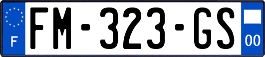 FM-323-GS