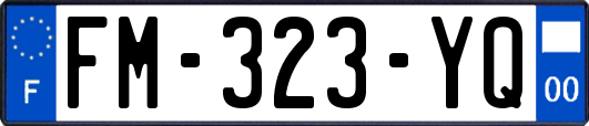FM-323-YQ