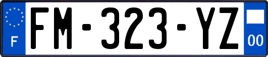 FM-323-YZ