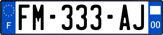 FM-333-AJ