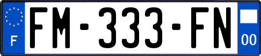 FM-333-FN