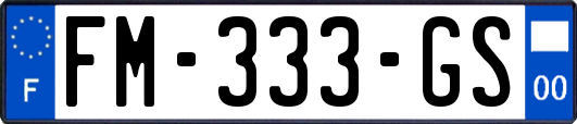 FM-333-GS
