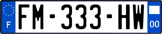 FM-333-HW