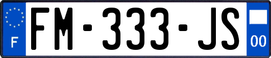 FM-333-JS