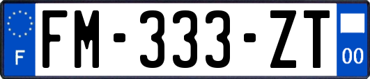 FM-333-ZT