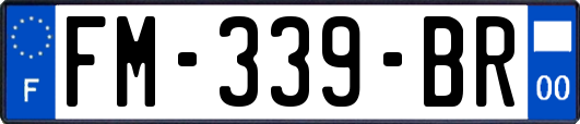 FM-339-BR