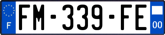 FM-339-FE