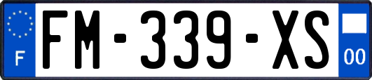 FM-339-XS