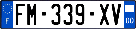 FM-339-XV