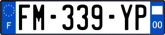 FM-339-YP