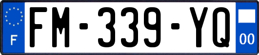 FM-339-YQ