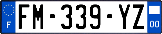 FM-339-YZ