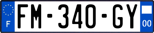 FM-340-GY