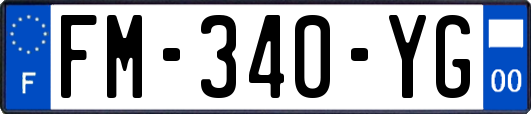 FM-340-YG