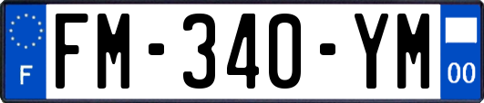 FM-340-YM