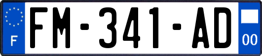 FM-341-AD