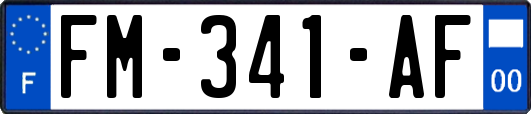 FM-341-AF