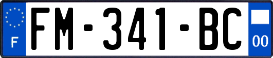 FM-341-BC