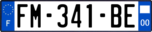 FM-341-BE