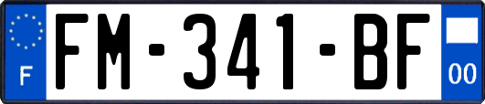 FM-341-BF