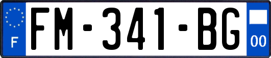 FM-341-BG