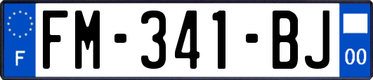 FM-341-BJ