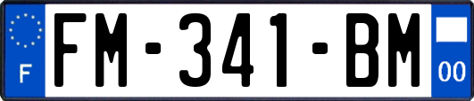 FM-341-BM