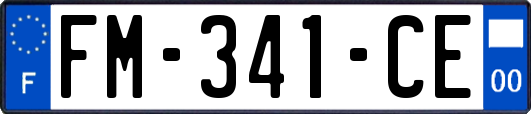 FM-341-CE