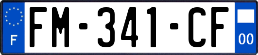 FM-341-CF