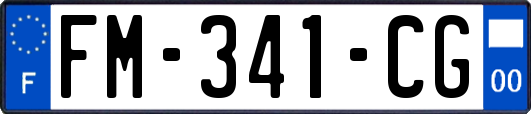 FM-341-CG