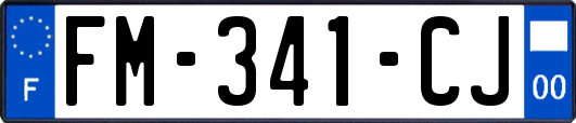 FM-341-CJ