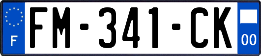 FM-341-CK