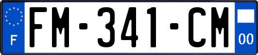 FM-341-CM