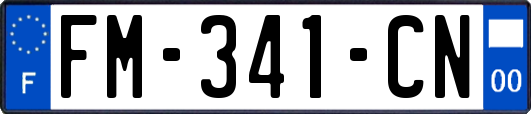 FM-341-CN