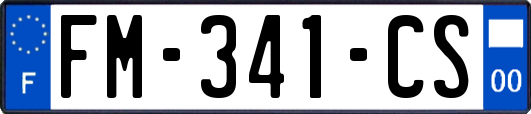 FM-341-CS