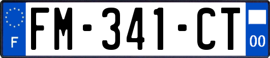 FM-341-CT