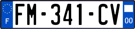 FM-341-CV