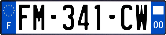 FM-341-CW