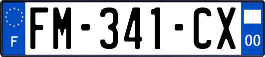 FM-341-CX