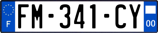 FM-341-CY