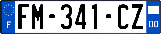 FM-341-CZ