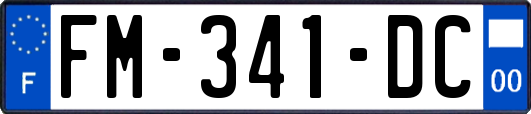 FM-341-DC