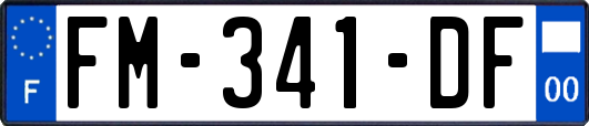 FM-341-DF