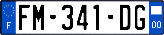 FM-341-DG