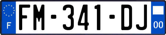 FM-341-DJ