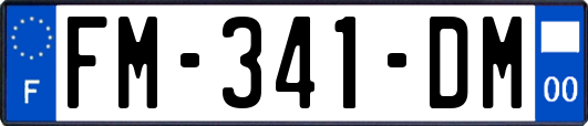 FM-341-DM